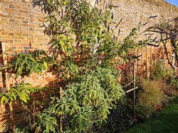 tourville-sur-arques (32)